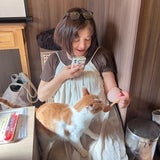 猫にもお客ｻﾝにも優しい癒しの猫カフェ『』の記事画像
